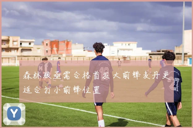 森林狼亟需合格首发大前锋麦丹更适合打小前锋位置