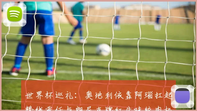 世界杯巡礼：奥地利依靠阿瑙扛起锋线重任与朗尼克牌红牛味绞肉机的故事